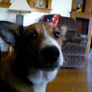 Meet your Posher, Jacob